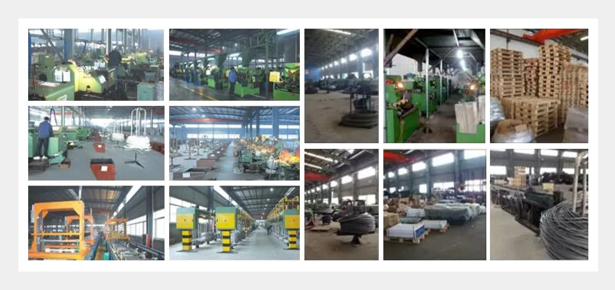 Galvanized Plan Shank Steel Concrete Nail-Hebei Sinostar-2