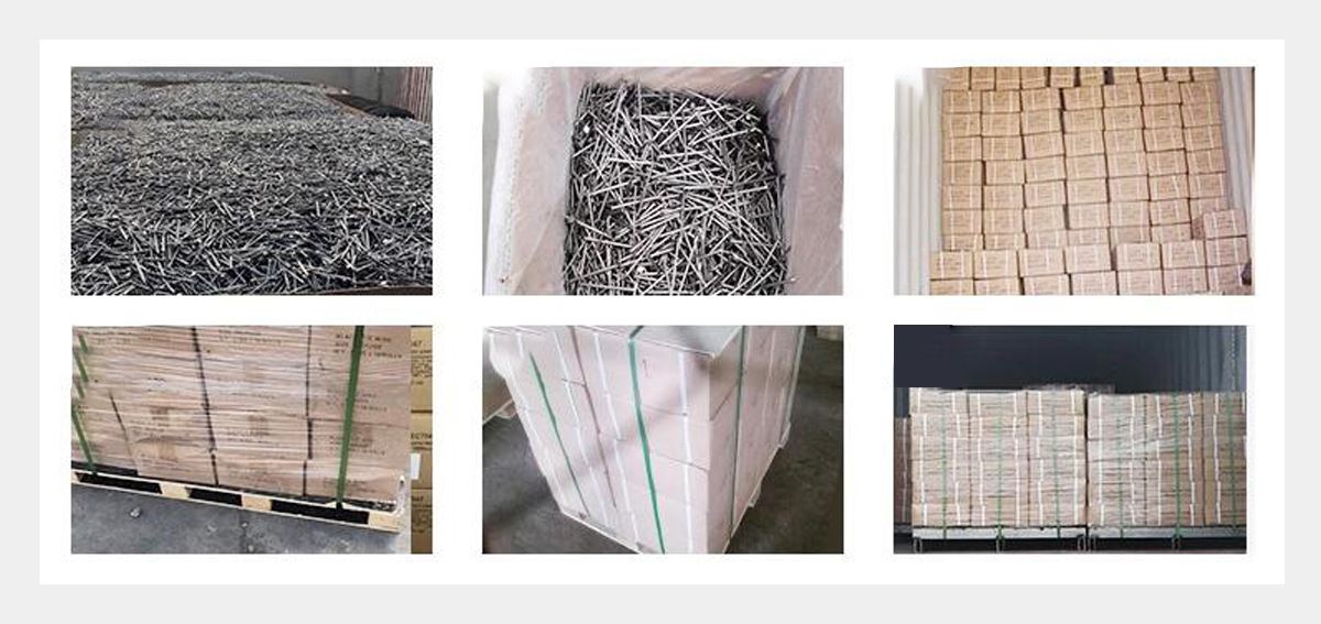 Galvanized Plan Shank Steel Concrete Nail-Hebei Sinostar-3