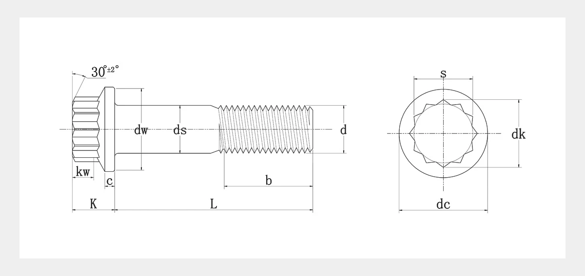 12-Point Flange Bolt 2D