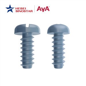 Pozi vijci s panom glavom